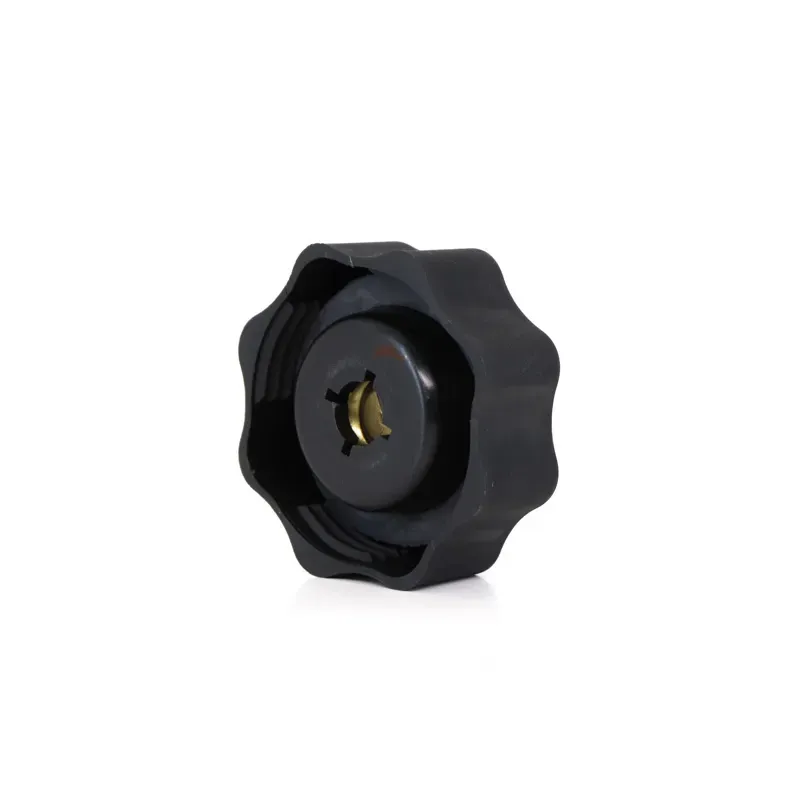 Tapon deposito Mini Cooper 0208