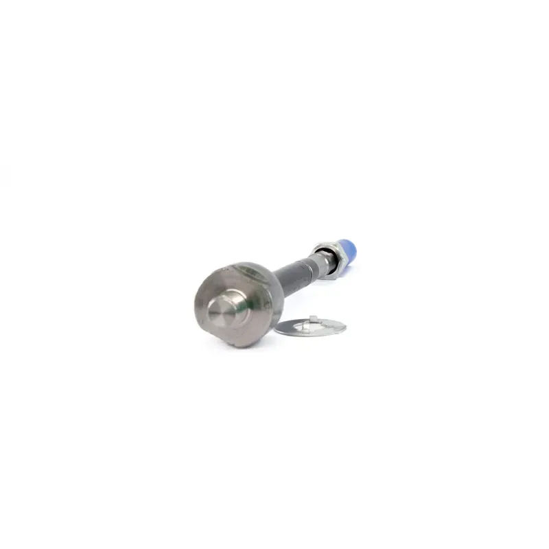 Vieletas Int Rav 4 0618