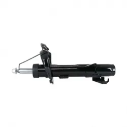 Amort DI Ford focus largo 0711