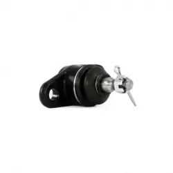 Rotula Inf Attitude 0611 Rio 0611