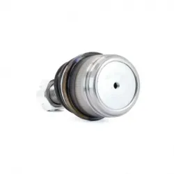 P Rotula Inf Excur2on 9906 F250 99