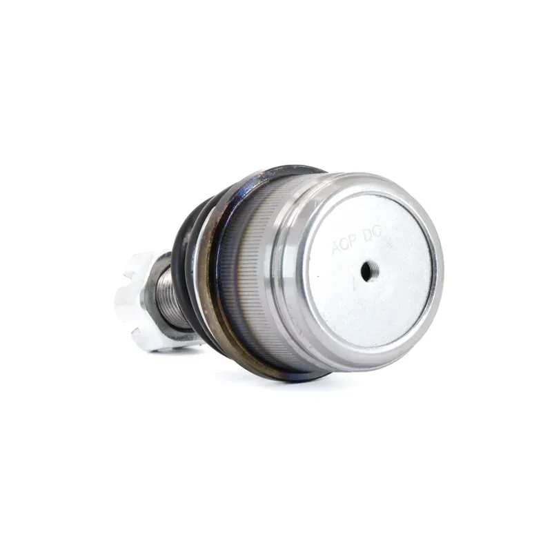 P Rotula Inf Excur2on 9906 F250 99