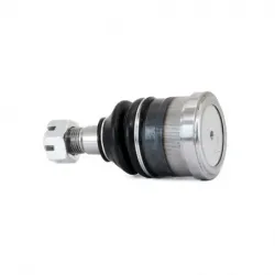 Rotula Inf B100 7078 B150 7904 B20
