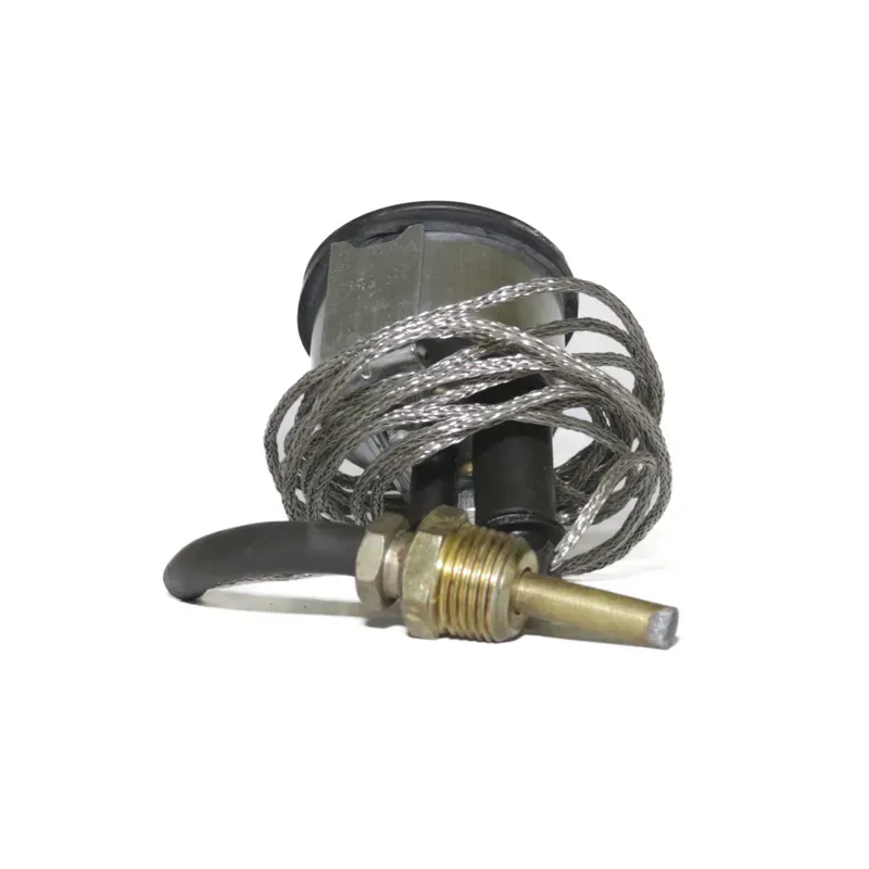 Medidor temperatura agua con cable 96"