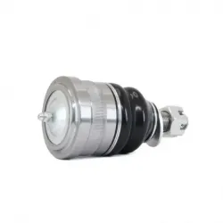 Rotula Inf C30 7178 C35 7991