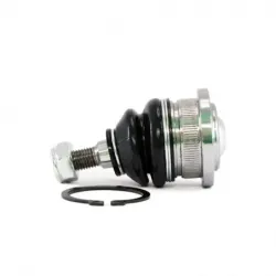 Rotula Sup Accord 9812 CRV 9701