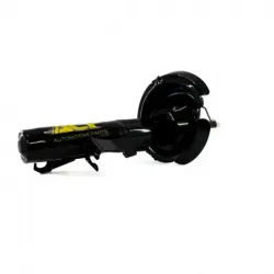 Amort Del Der C30 0811 Focus 0711