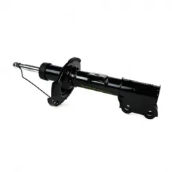 Amort DD Hyundai Elantra CTope 1116