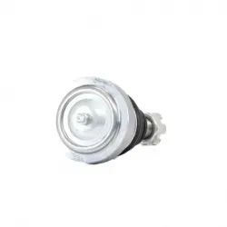 Rotula Inf Mustang 9495