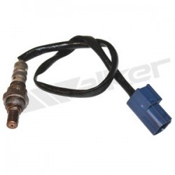 Sensor de oxigeno
