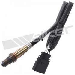 Sensor de oxigeno