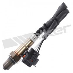 Sensor de oxigeno