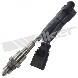 Sensor de oxigeno