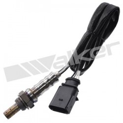 Sensor de oxigeno