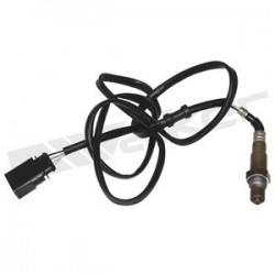 Sensor de oxigeno