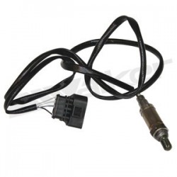 Sensor de oxigeno