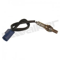 Sensor de oxigeno