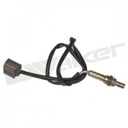 Sensor de oxigeno