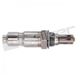 Sensor de oxigeno