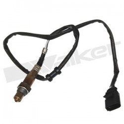 Sensor de oxigeno