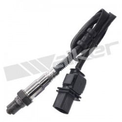 Sensor de oxigeno