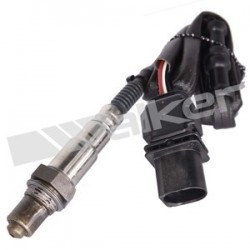 Sensor de oxigeno
