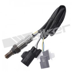 Sensor de oxigeno