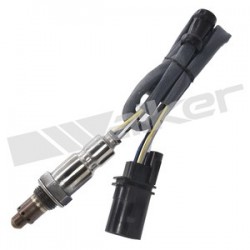 Sensor de oxigeno