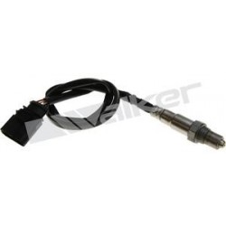 Sensor de oxigeno