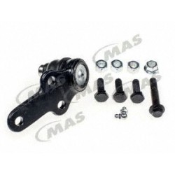 Rotula Inf Focus 0511