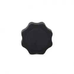 Tapon deposito Mini Cooper 0208