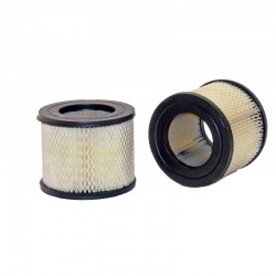 Filtro de Aire Lister Petter