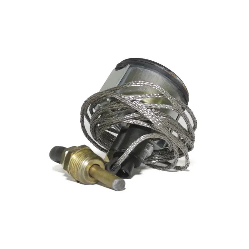Medidor temperatura agua con cable 96"
