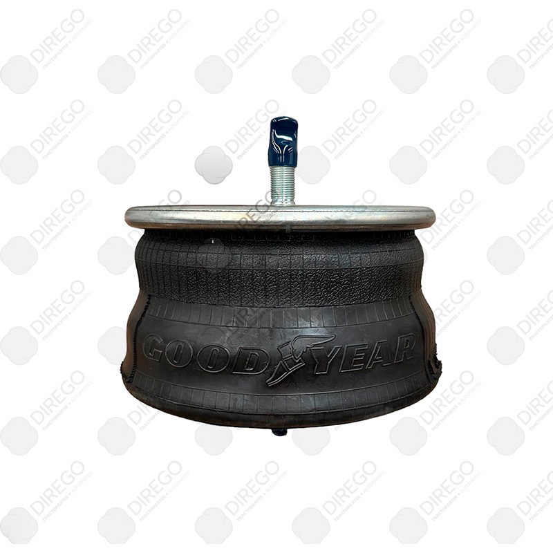 Rolling Lobe Air Spring