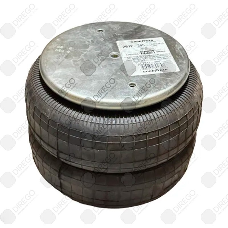 Bolsa international 554786c1