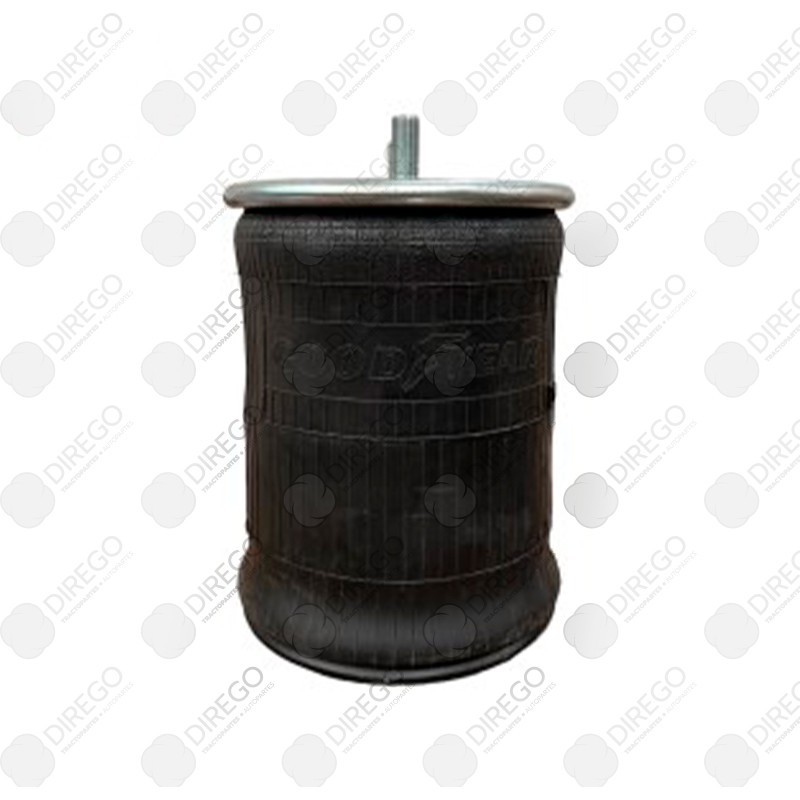 Bolsa de aire goodyear