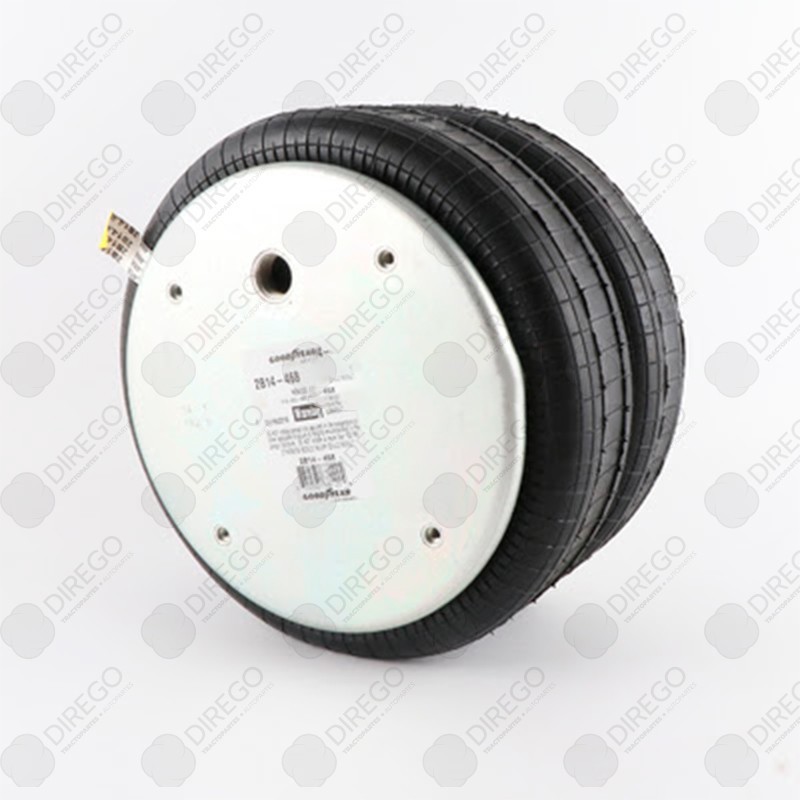 Bolsa de aire suspension