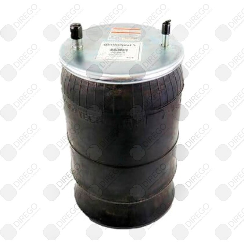 Bolsa de aire goodyear