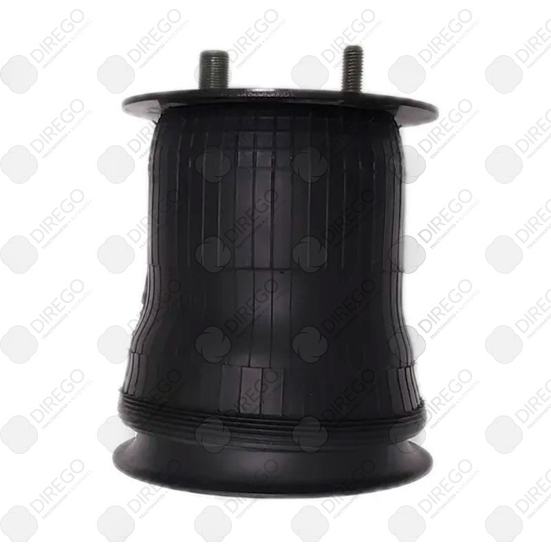 Bolsa de aire goodyear