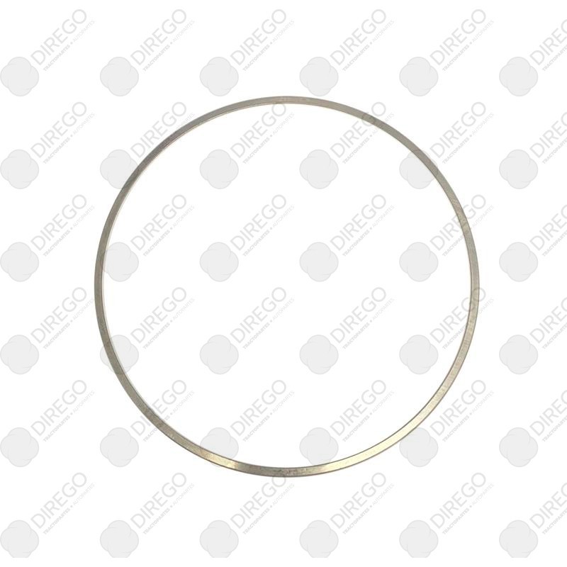 aina de camisa 0003"