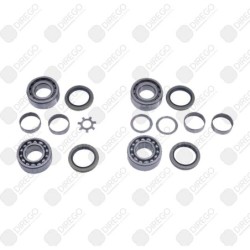 Kit de reparacion soplador...