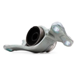 Buje Delantero Inferior Posterior L Pa