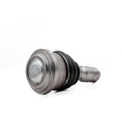 Rotula Trasero Superior Para Ford