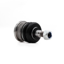 Rotula Delantero Inferior Para Dodge