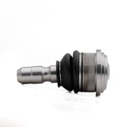 Rotula Trasero Superior...