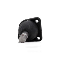 Rotula Inf Century 8296...