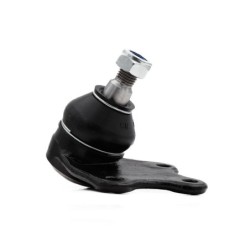 Rotula Delantero Inferior L...