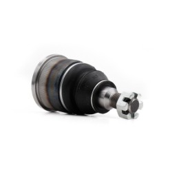 Rotula Delantero Inferior Para Acura