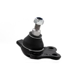 Rotula Delantero Inferior...