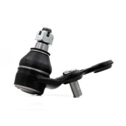 Rotula Delantero Inferior R...